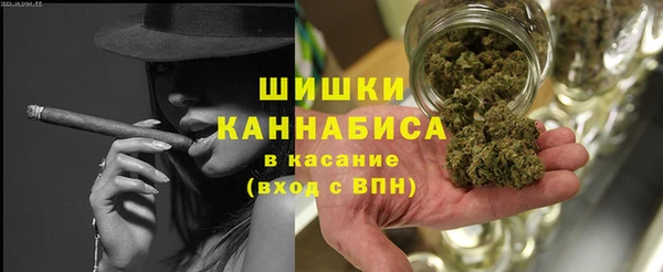 сатива Армянск