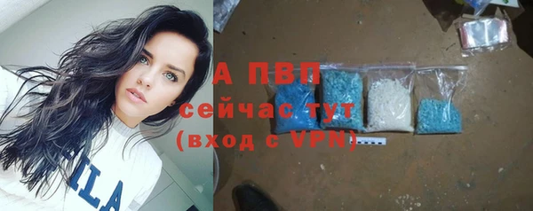 сатива Армянск