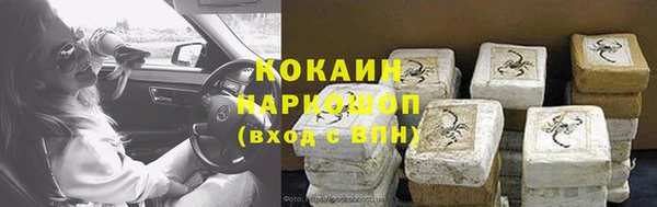 сатива Армянск