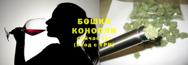 ешки Аркадак