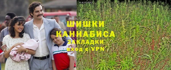 сатива Армянск