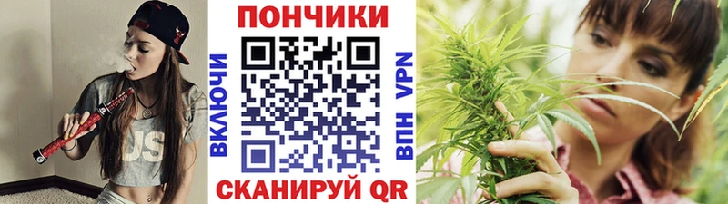 Бошки Шишки сатива  где продают наркотики  Оленегорск 